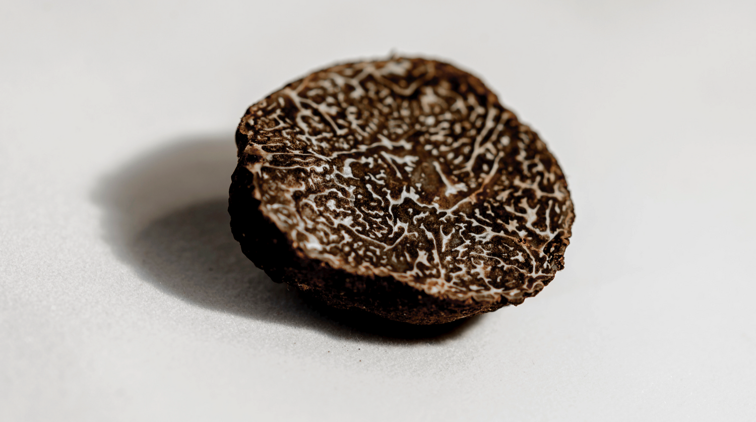black-winter-truffle