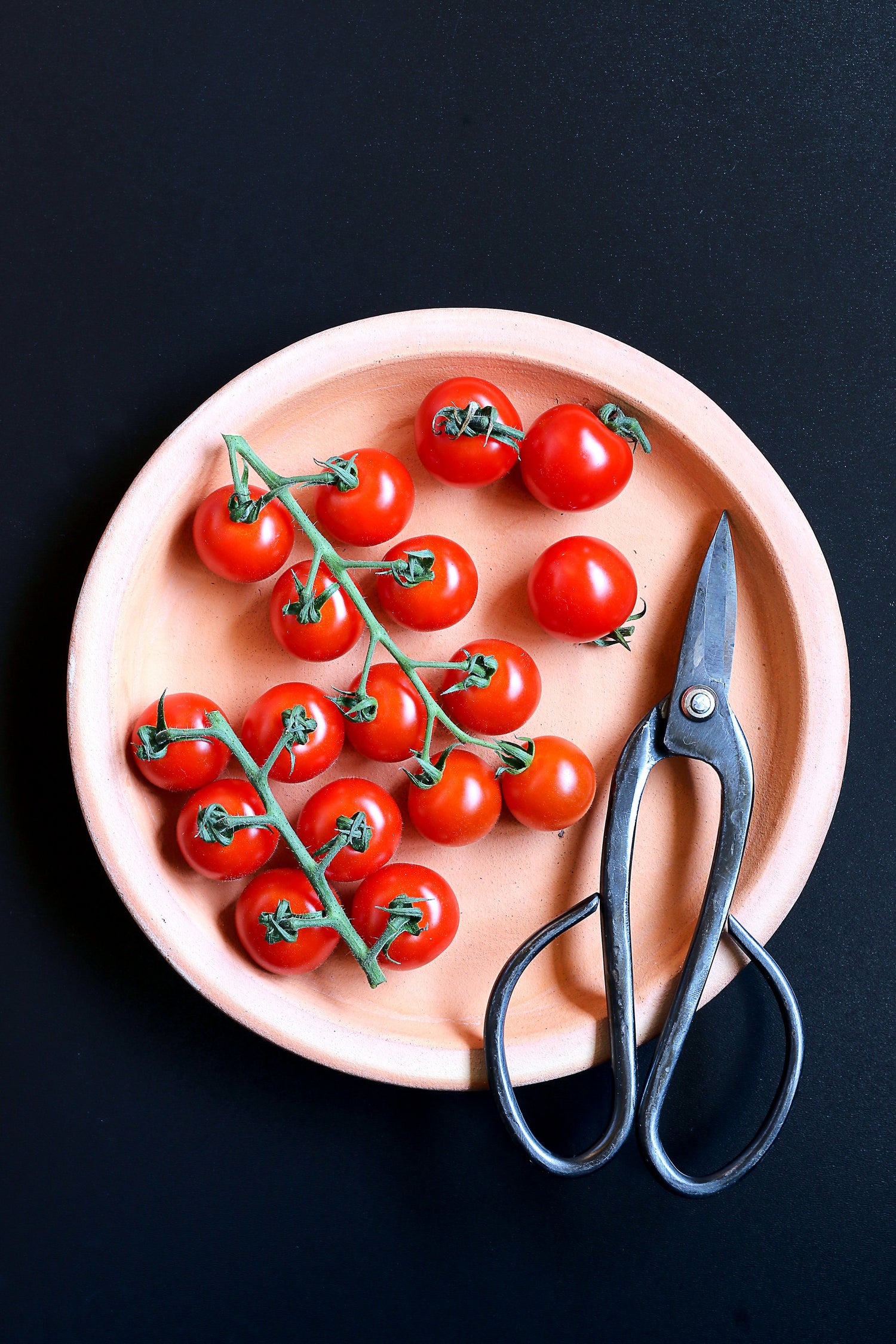 cherry-tomatoes-plated-with-kitchen-scissors