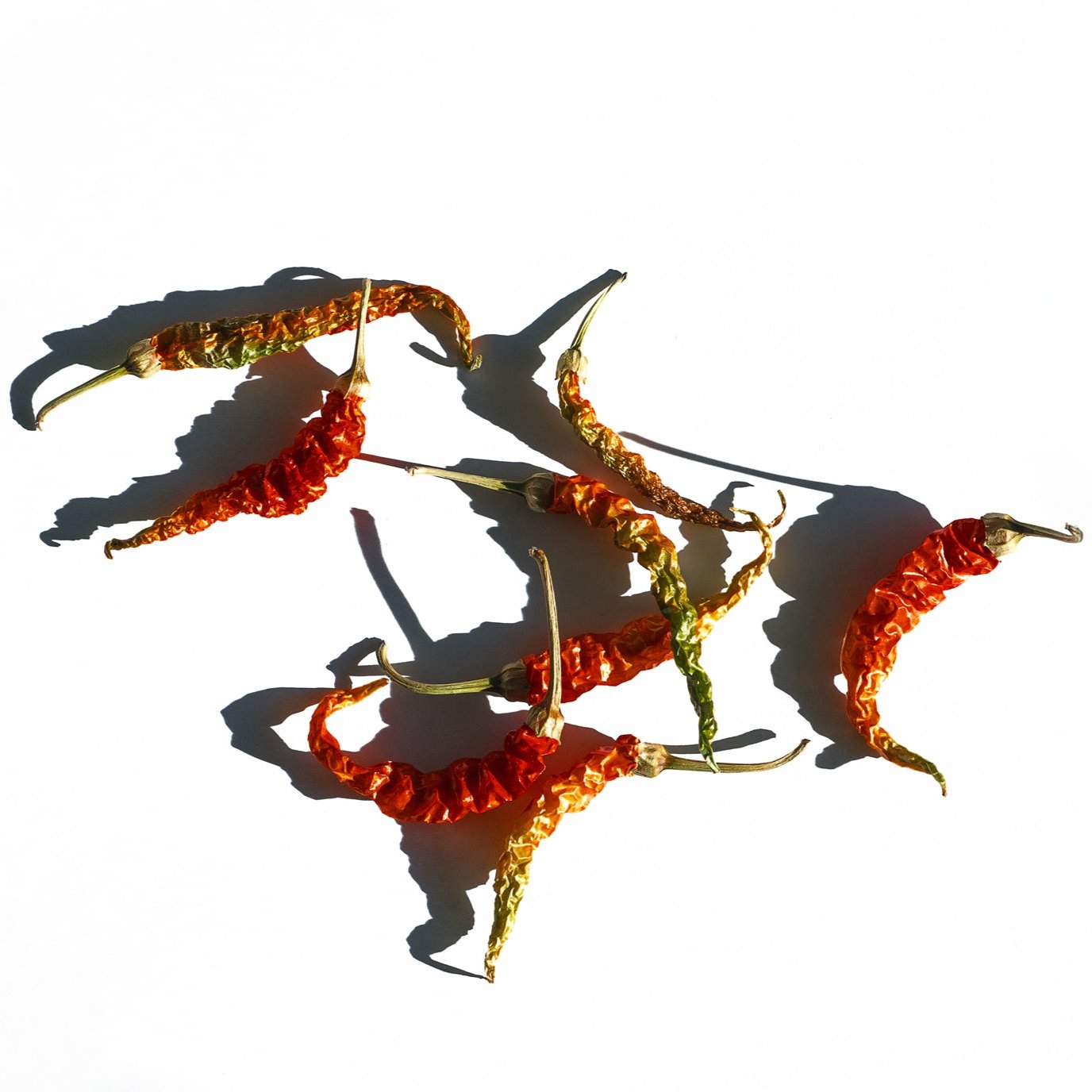 dried-hot-peppers