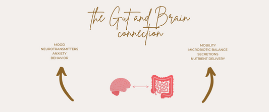 The Gut and Brain Connection